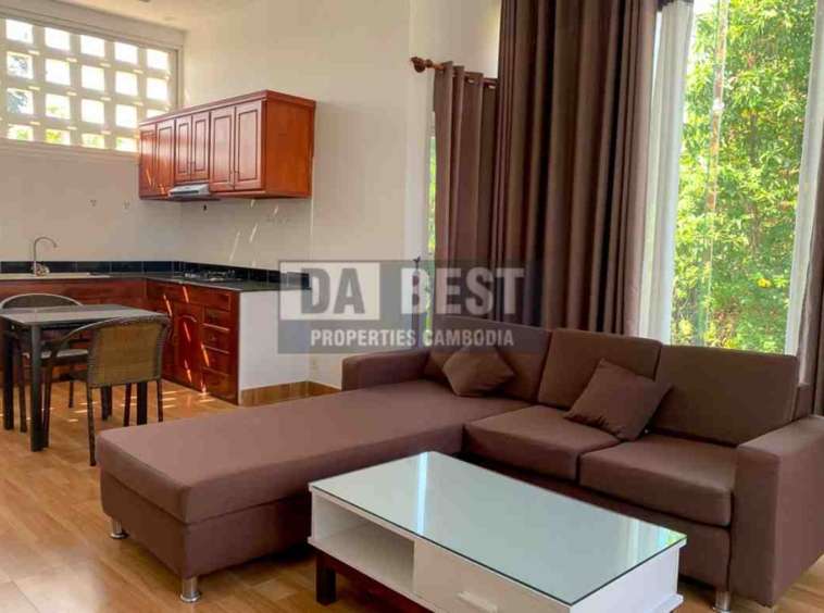 Modern Convenient 1 Bedroom Apartment For Rent In Siem Reap (5)