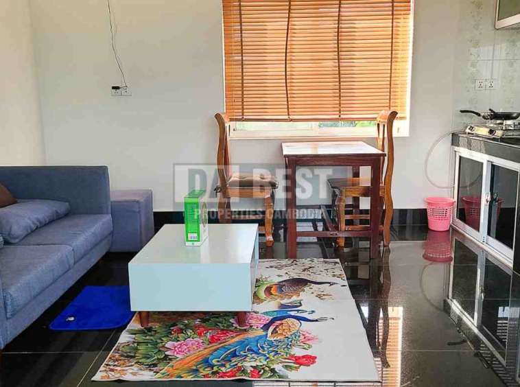 Spacious 1 Bedroom Apartment For Long Term Rent In Siem Reap - Living area - 1