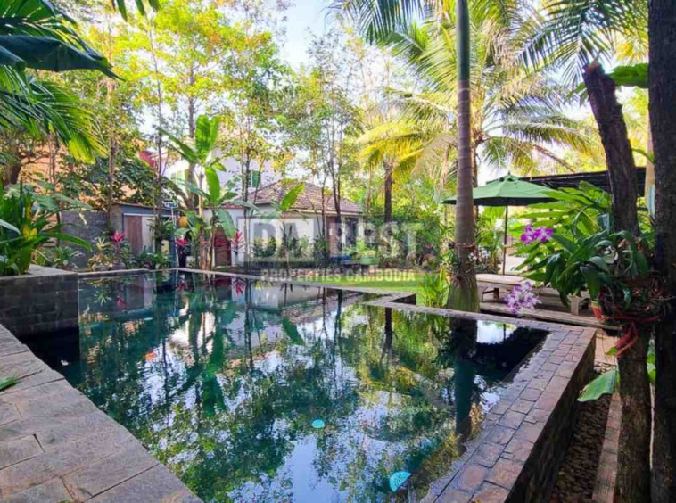 1 bedroom apartment with swimming pool for rent in Siem Reap - Svay Dangkum