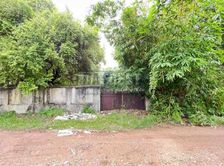 Urgent Land For Sale In Siem Reap – Svay Dangkum-2