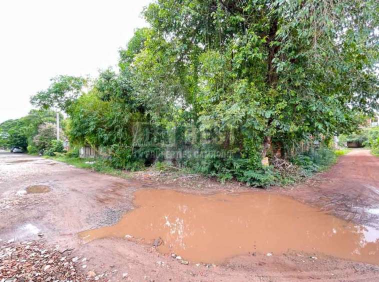 Urgent Land For Sale In Siem Reap – Svay Dangkum-3