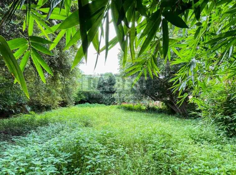 Urgent Land For Sale In Siem Reap – Svay Dangkum-4