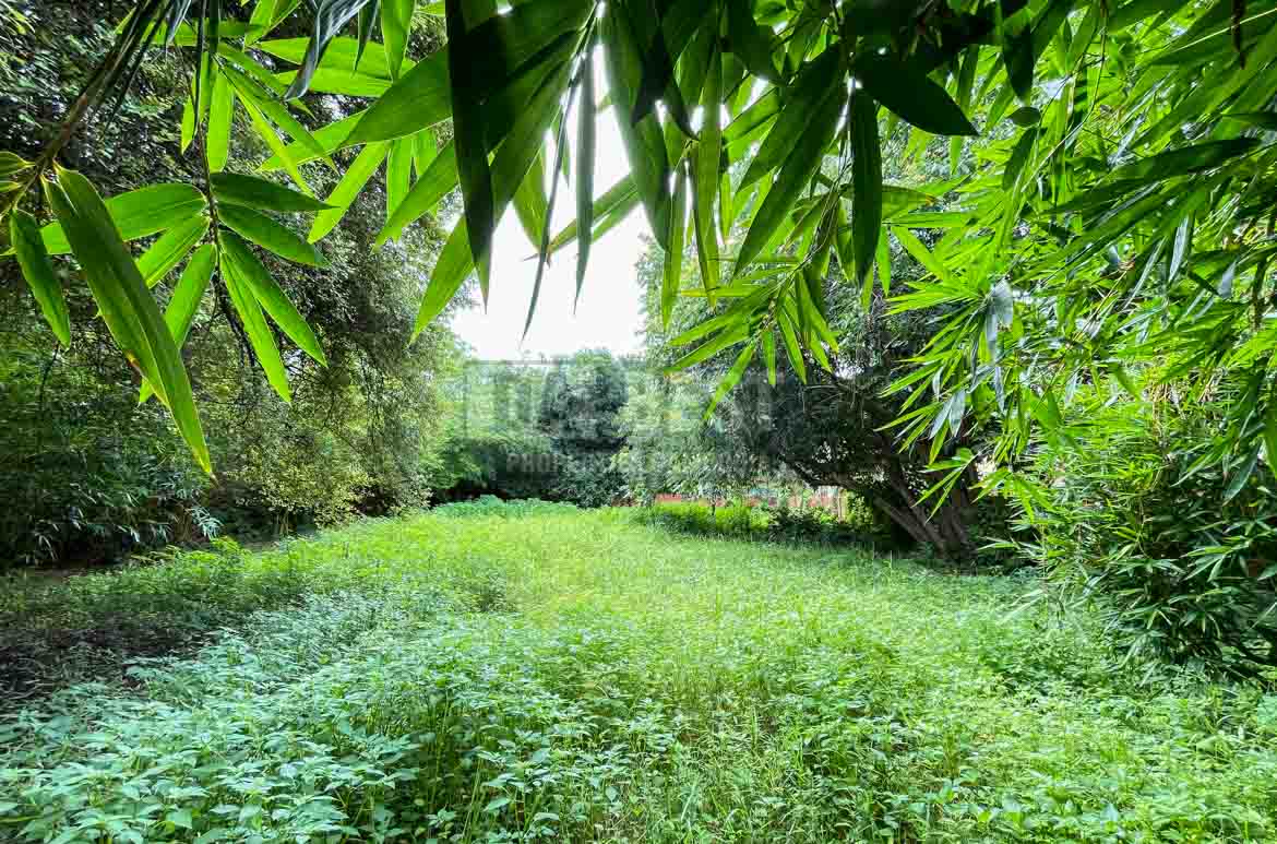 Urgent Land For Sale In Siem Reap – Svay Dangkum-4