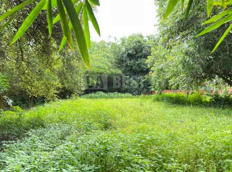 Urgent Land For Sale In Siem Reap – Svay Dangkum-5