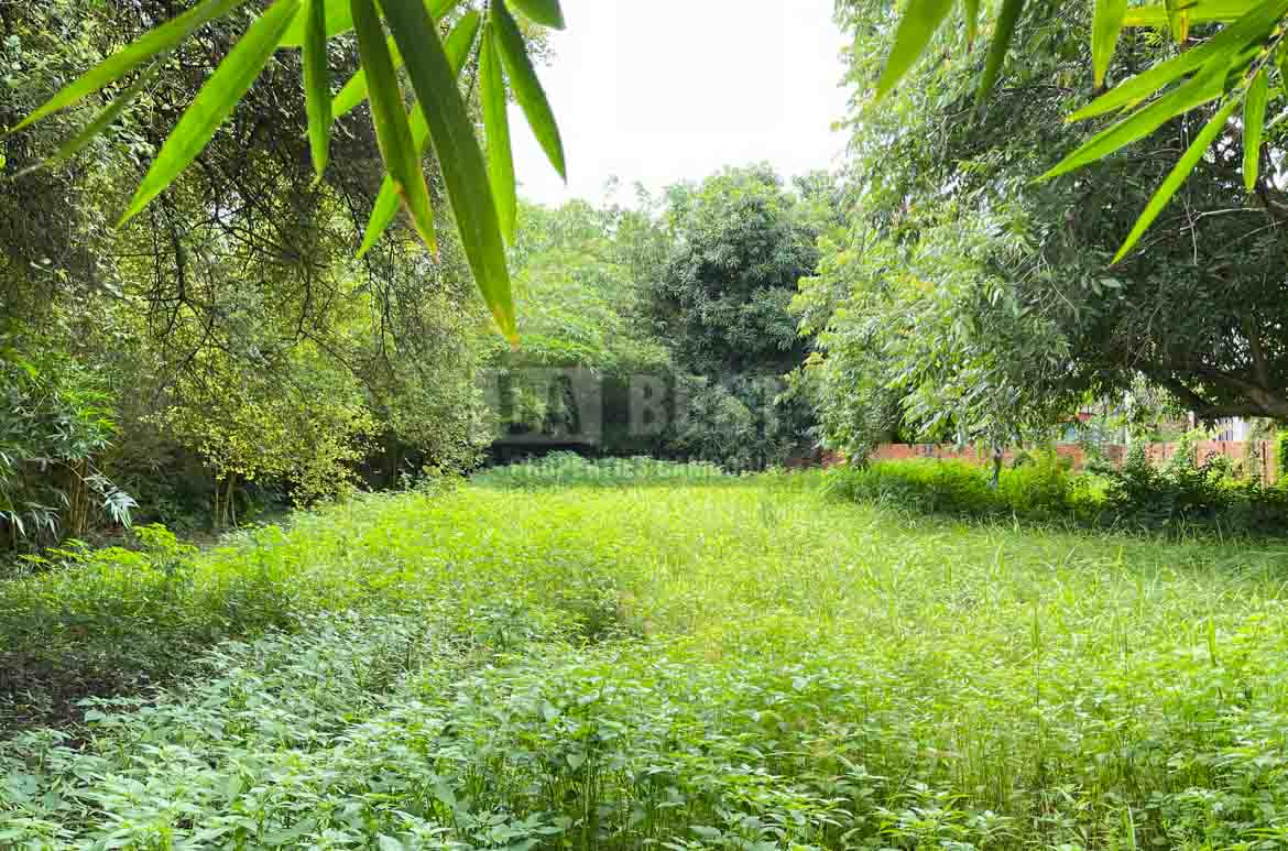 Urgent Land For Sale In Siem Reap – Svay Dangkum-5